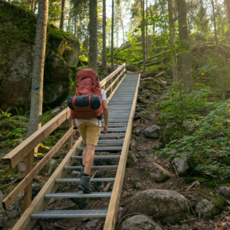 A person is climbing a long stairway in a forest.