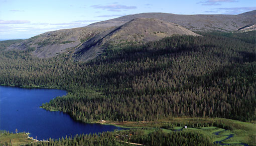A forested fell next to a lake.