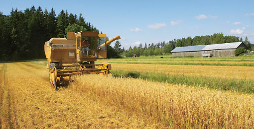A harvester at work on a grain field.