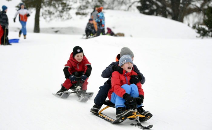 Several kids sled down a snowy hill.