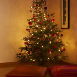 A decorated Christmas tree in a dimly-lit room. 