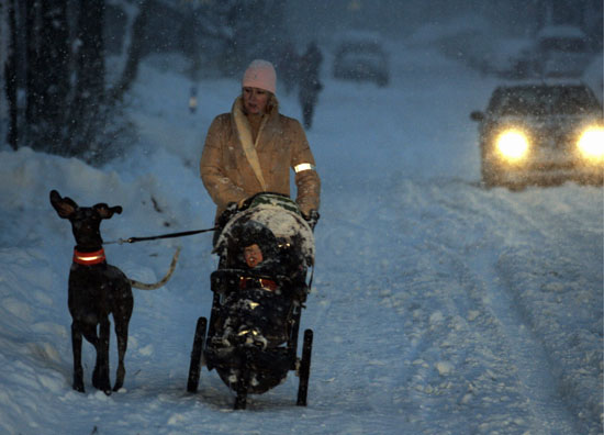 A woman walking outside by a dark road with a stroller and a dog, all wearing reflectors.