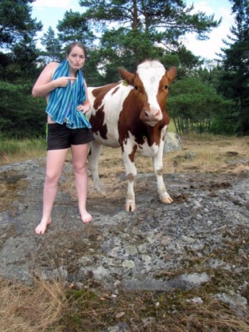 On ne sait jamais quelle rencontre vous attend, en Finlande, à la campagne. La Canadienne Sareena McDonald , à Sysmä, en compagnie d'une vache.
