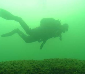 Finnish Inventory Programme for the Underwater Marine Environment, VELMU, Baltic Sea Action Group, Gulf of Finland, Archipelago Sea, Bothnian Bay, Helsinki, St Petersburg