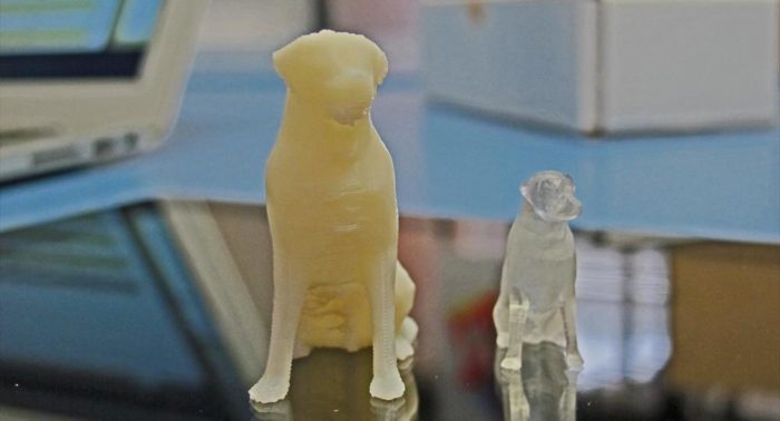 FabLab Labradors: Two newly created miniature dogs gaze out at the world.