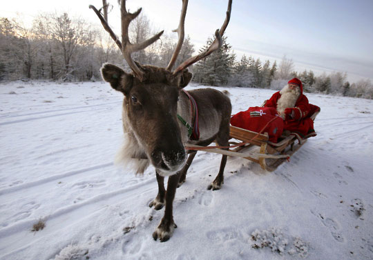 Papai Noel e uma de suas renas param de se exercitar para posar para uma foto.