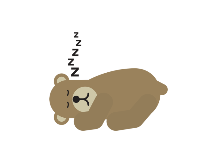 Un ours brun est endormi avec ses pattes avant repliées sous sa tête ; une colonne de lettres « Z » façon bulle de BD s'échappe de la tête de l’animal en signe de lourde respiration et de sommeil profond. 
