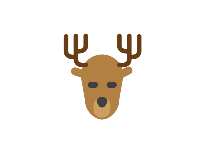 The head of a brown reindeer with quite large antlers.