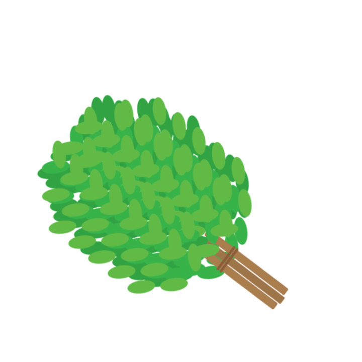Un manojo de ramas de abedul con sus hojas verdes.