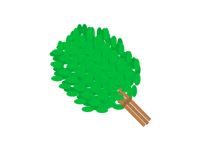 Un manojo de ramas de abedul con sus hojas verdes.