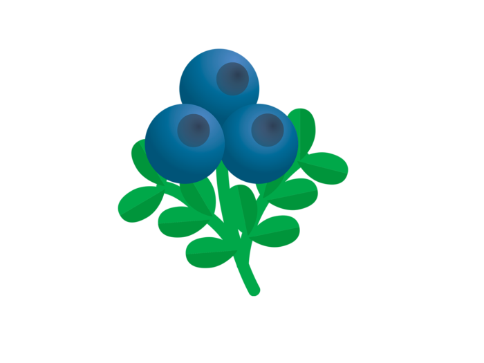 Three blueberries on a green branch.