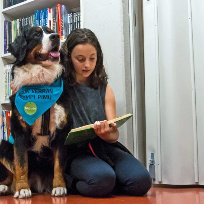 100 years of Finnish education success stories thisisFINLAND