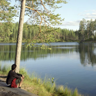 A person sits by a lake surrounded by forest in the summer.