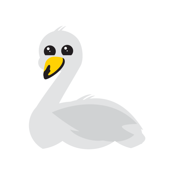 Freundlich schauender Singschwan; ein weißer Wasservogel mit einem gelben Schnabel.