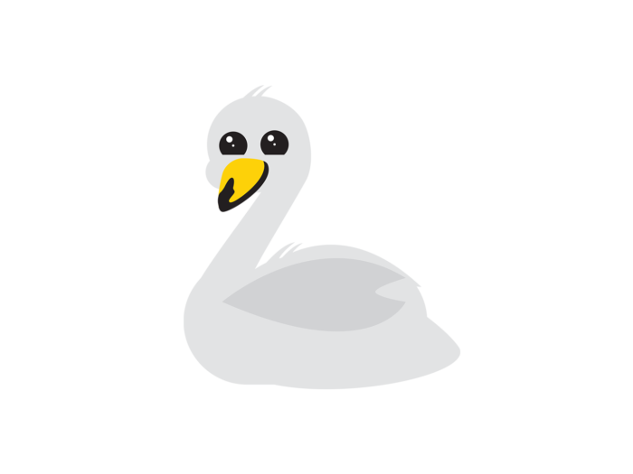 Um cisne selvagem de aparência amigável; um pássaro aquático branco com um bico amarelo.