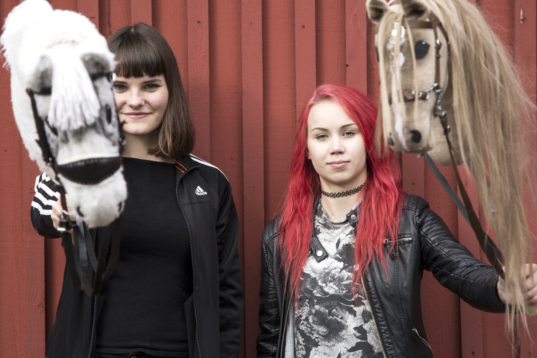 Hobbyhorse fever sweeps across Finland