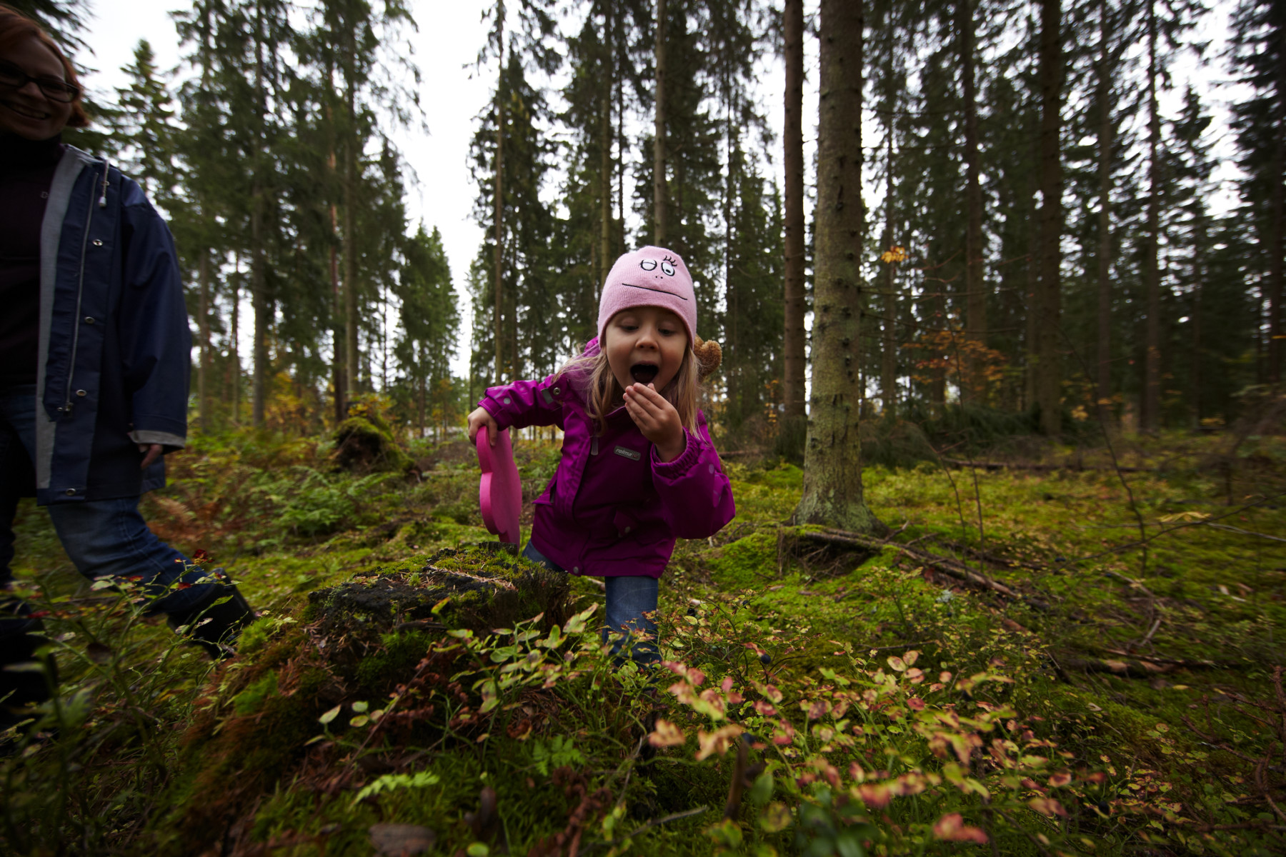 Финляндия леса и люди