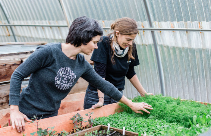 Two women in a greenhouse checking boxes of plants.