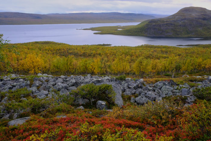 Red shrubs and yellow trees in front of a lake and mountains.