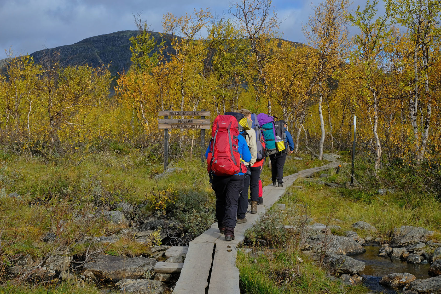 Autumn brings a festival of colour to Finnish Lapland’s fells ...