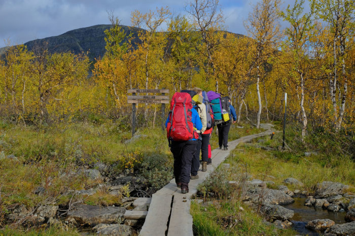 Hikers walk on duckboards with big backpacks.