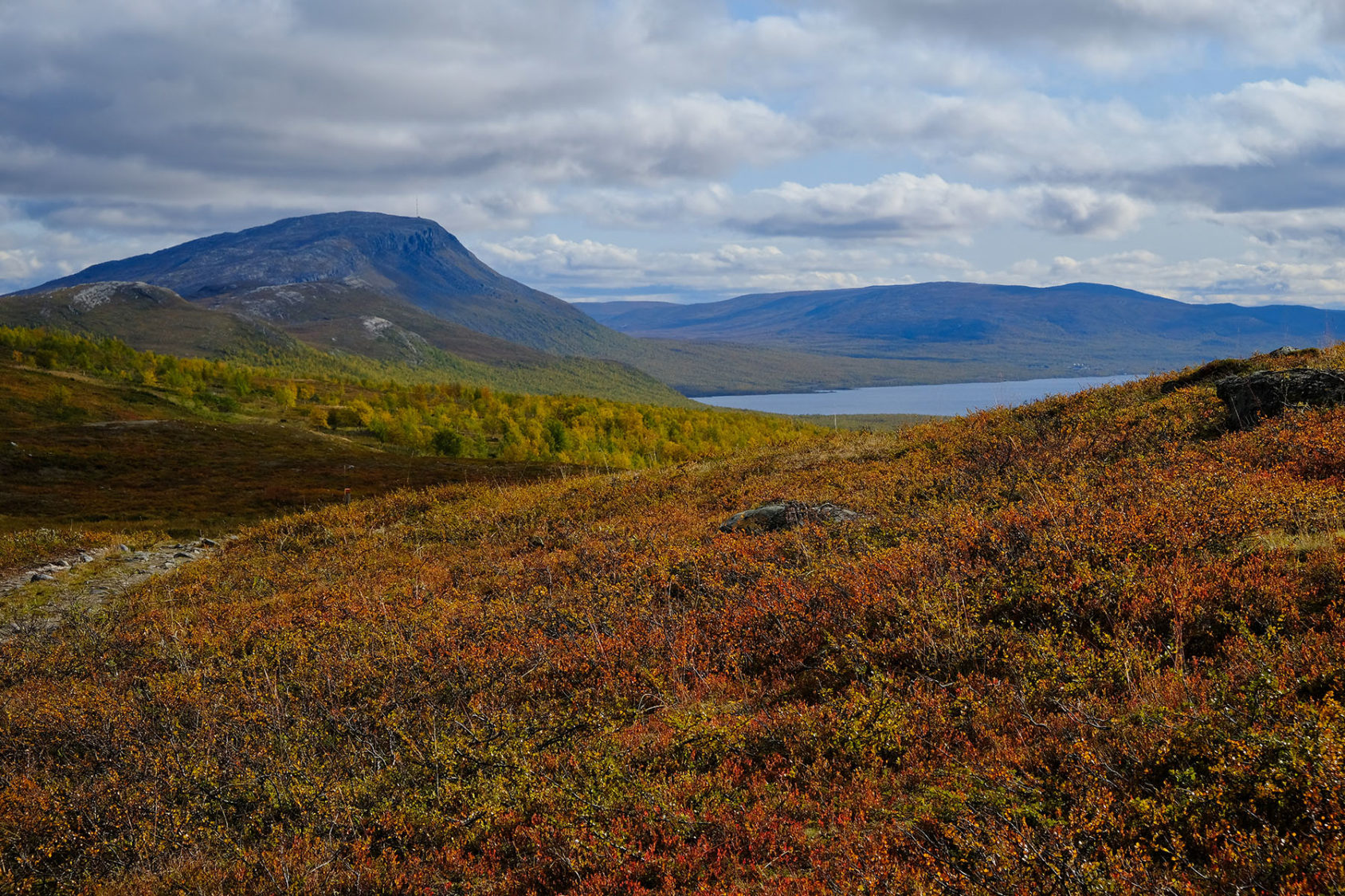 Autumn brings a festival of colour to Finnish Lapland’s fells ...