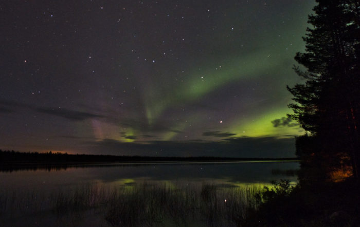 Green aurora borealis shines in the night sky over a lake.