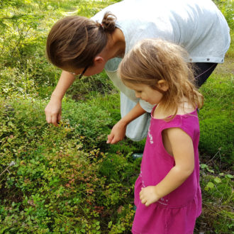 Женщина и девочка ищут ягоды и грибы в лесу.