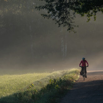 Uma pessoa anda de bicicleta ao longo de um caminho ao lado de um prado, com uma floresta ao fundo.