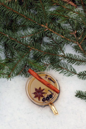 A drinking cup and a spruce branch sit on a layer of snow.