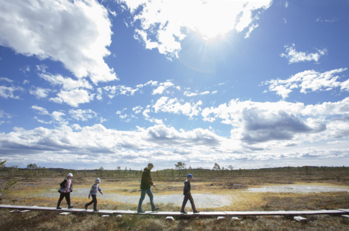 Quatre personnes traversent un paysage parsemé de petits étangs en foulant un chemin de planches.