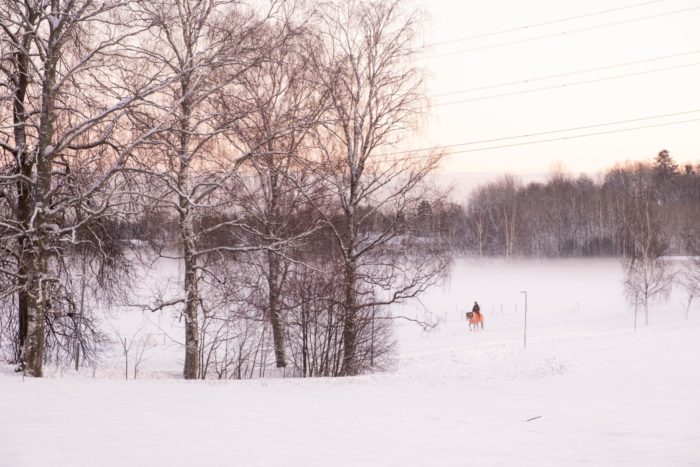 A person on horseback crosses a snowy landscape of fields and trees.