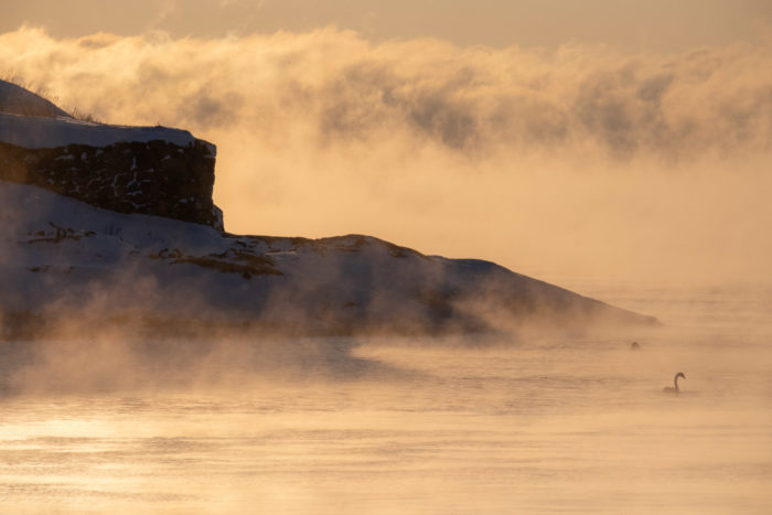 The shore of an island towers over the silhouette of a swan.