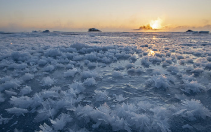Geometric ice crystals poke up from the ice-covered sea that stretches to a sunset on the horizon.
