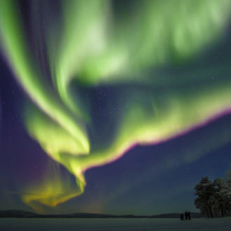 Green, yellow and purple ribbons of light stretch across a dark winter sky.