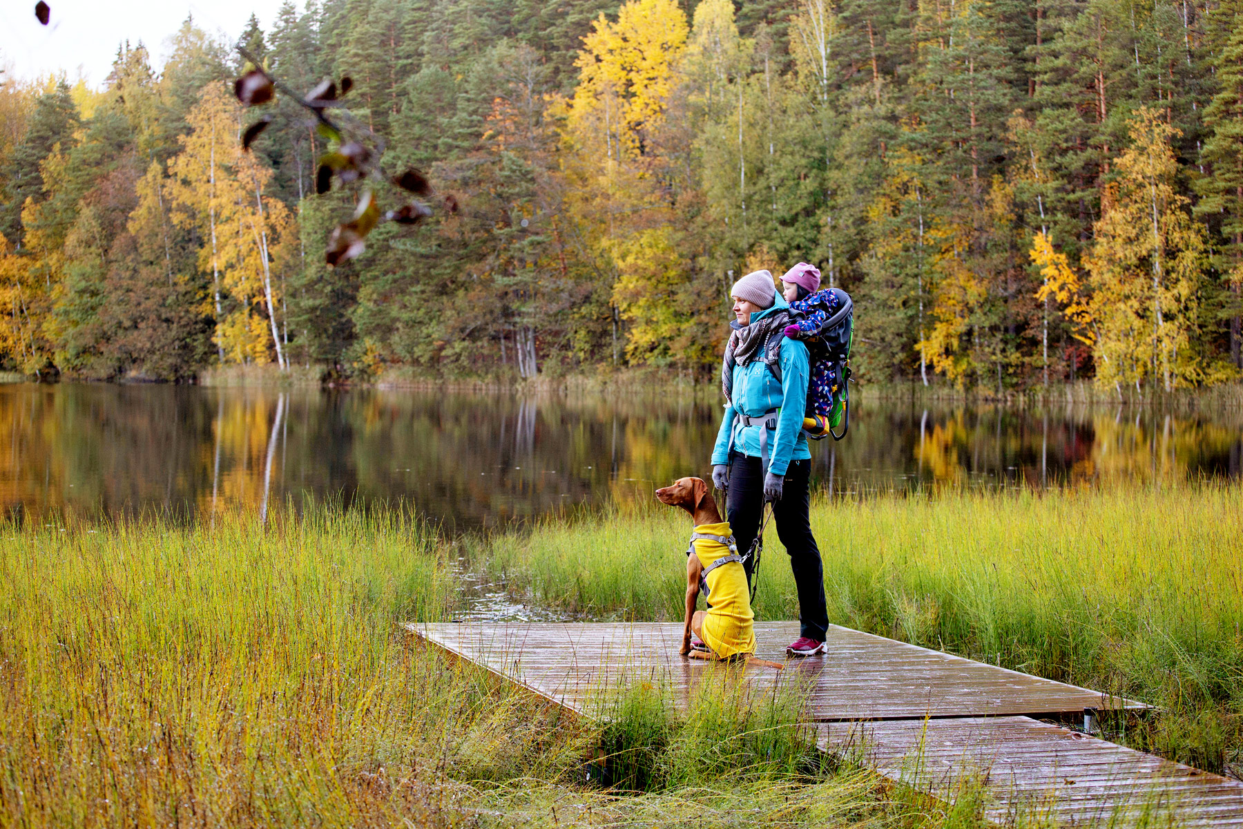 Un jeune enfant est transporté dans un porte-bébé par un adulte qui se tient avec un chien sur un ponton au bord d’un lac entouré par le feuillage d'automne.