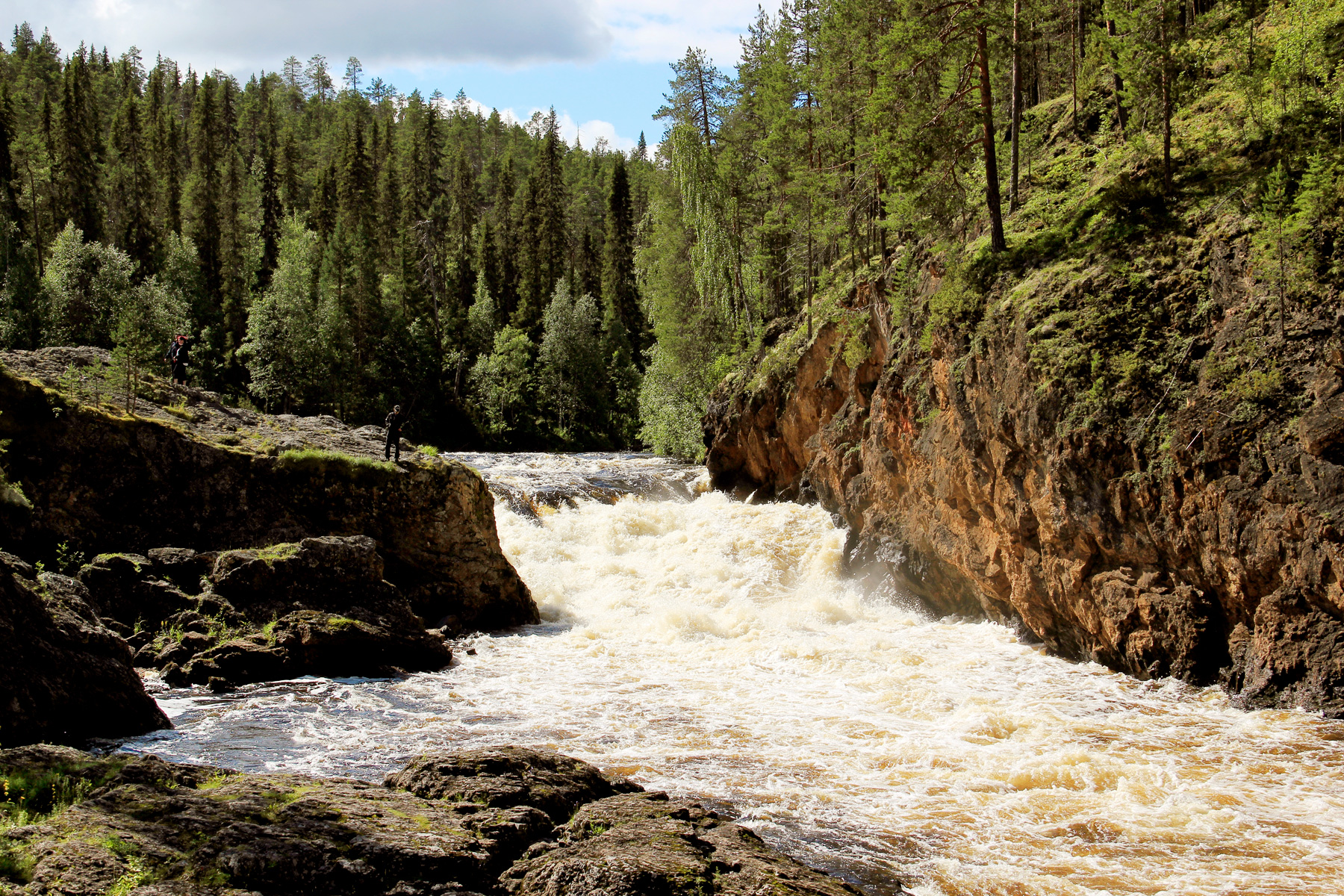 Une rivière est agitée par une série de rapides dans un paysage forestier.