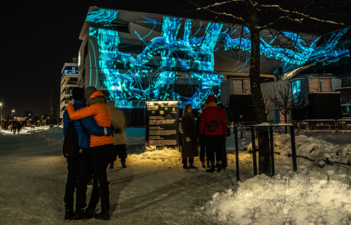 Several people watch patterns of roots and creatures projected on the side of a building.