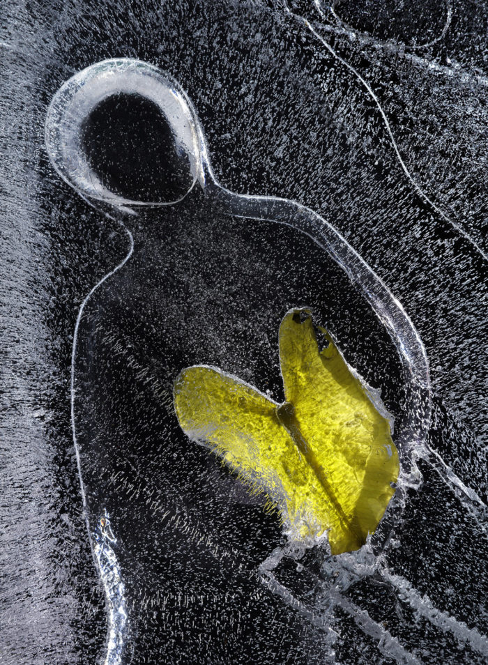 一片近似蝴蝶形状的叶子嵌在冰中，周围的气泡和线条图案恰好构成人形。