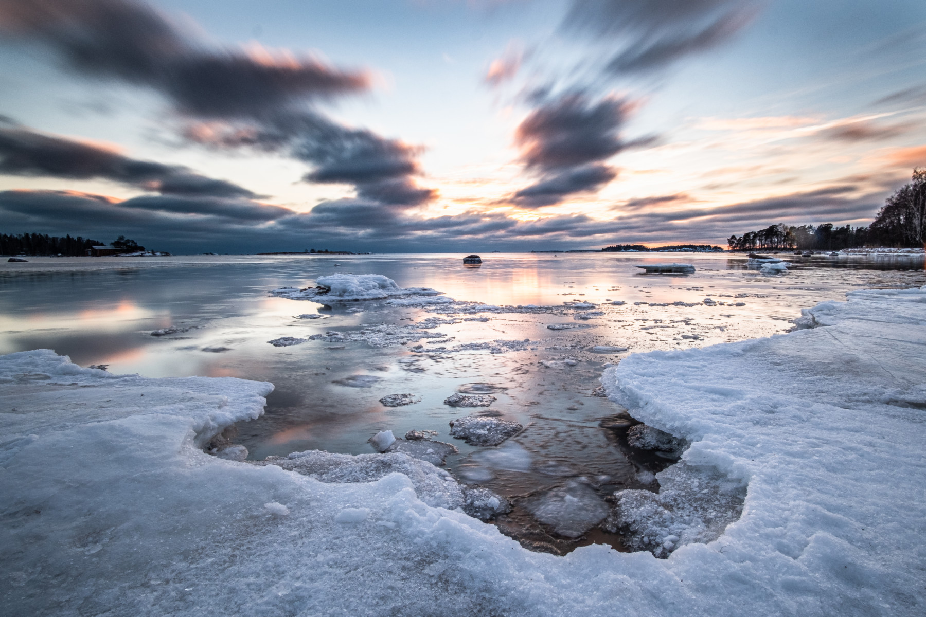 Weathering winter in Finnish waters: Wildlife copes with changing ...
