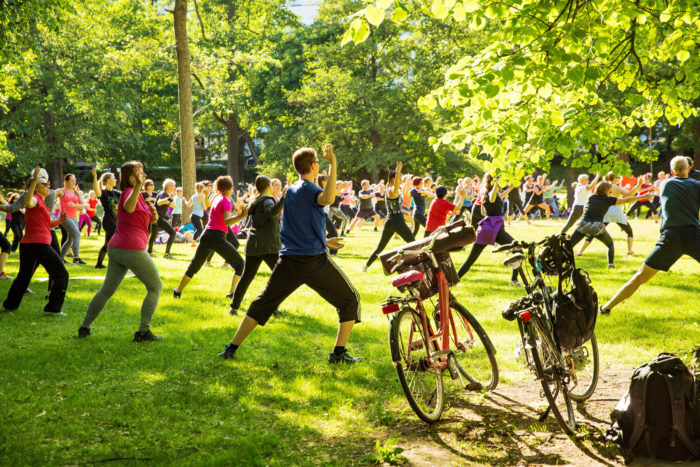 Люди в парке занимаются упражнениями на растяжку. Тренировка проходит на свежем воздухе, светит солнце. 