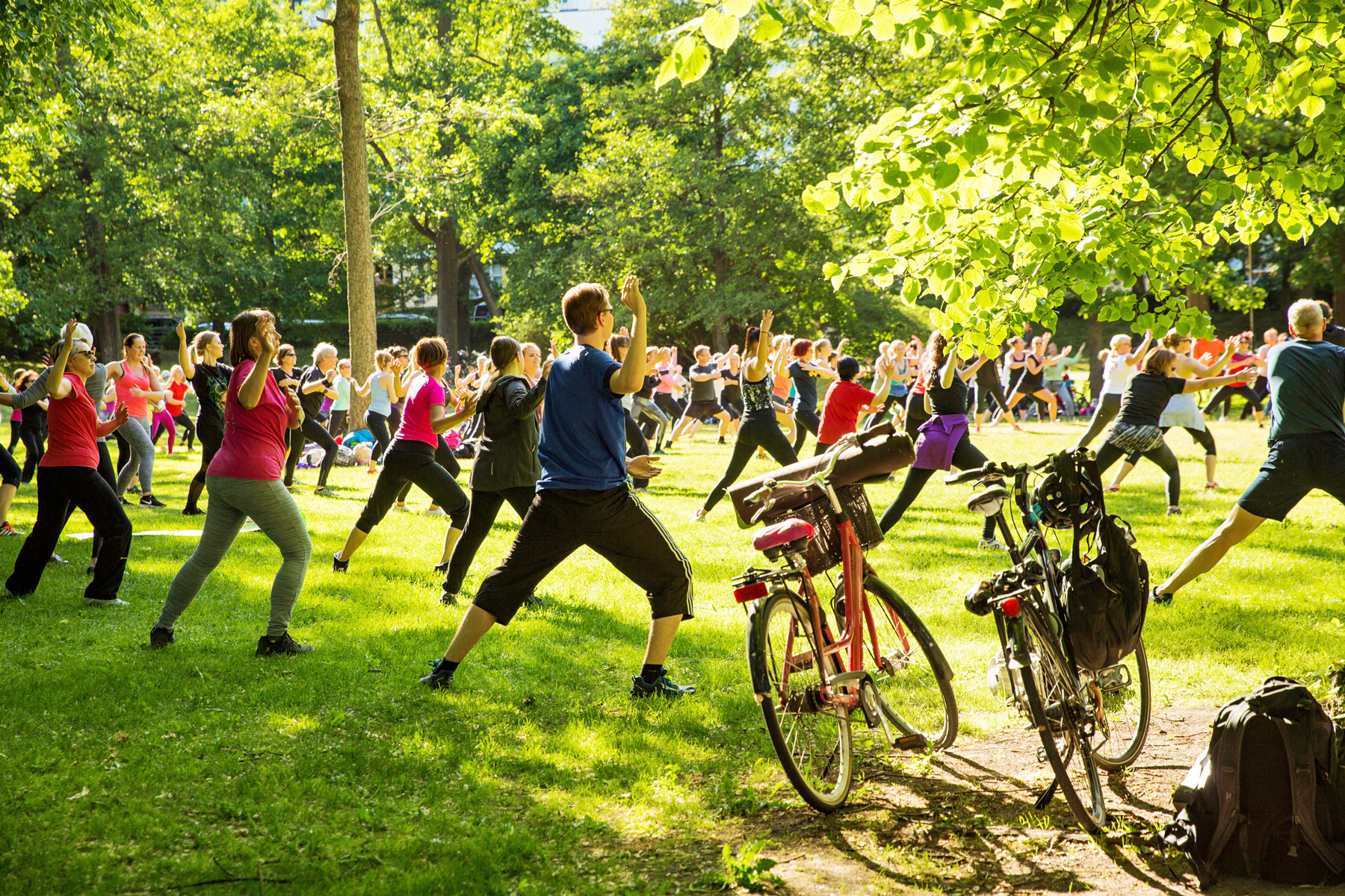 Numerosas personas en ropa de deporte hacen ejercicios de estiramiento en un parque durante un día soleado.
