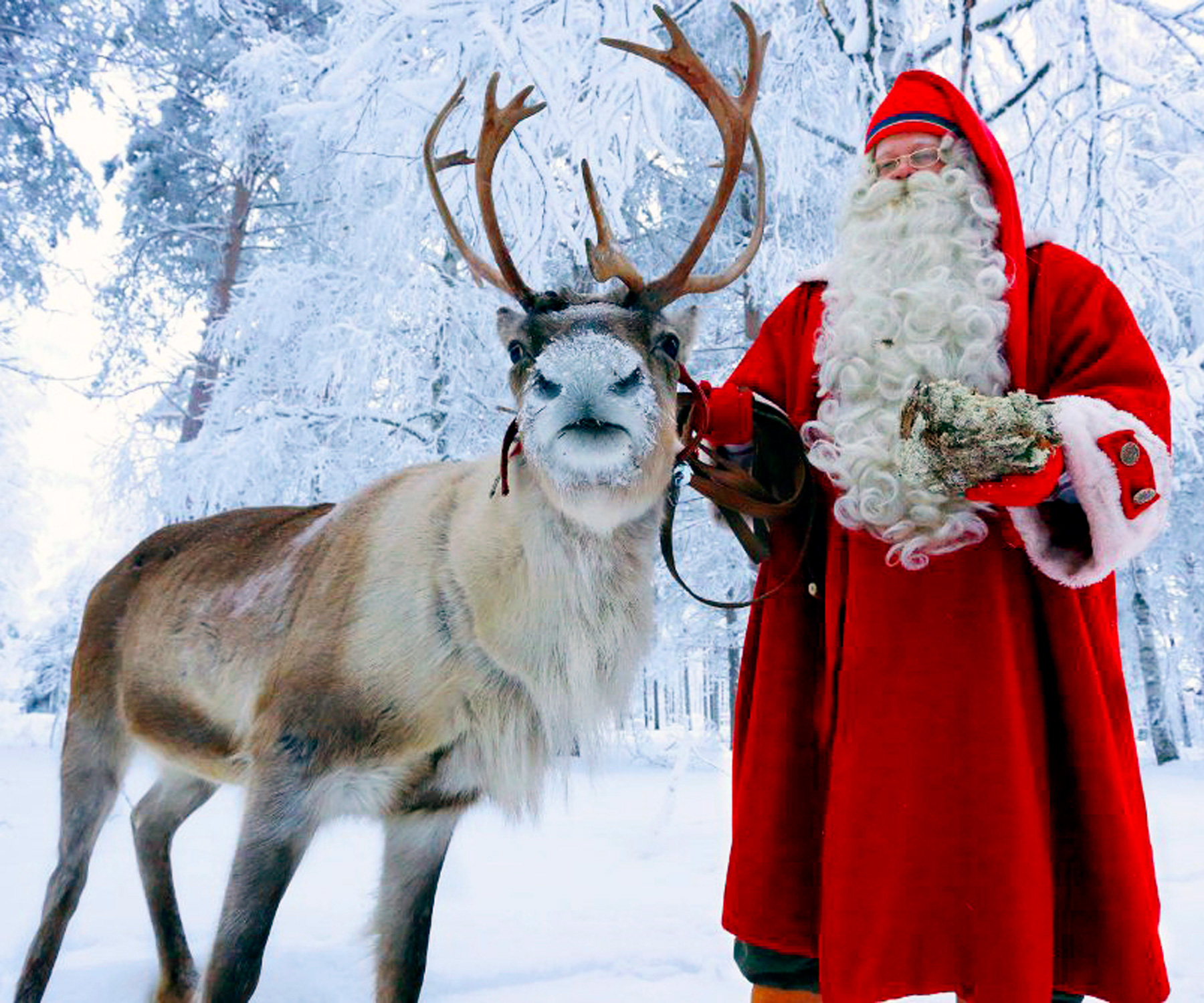 The real santa. Дед Мороз в Финляндии йоулупукки. Финский дед Мороз йоулупукки.