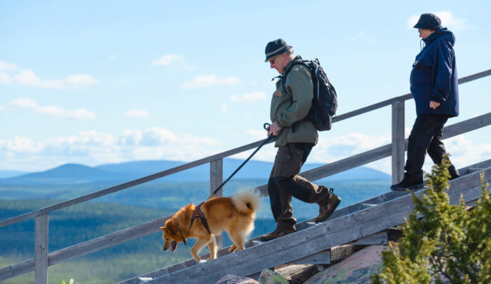 Duas pessoas e um cachorro descem uma escada de madeira, com picos de montanhas visíveis ao fundo.