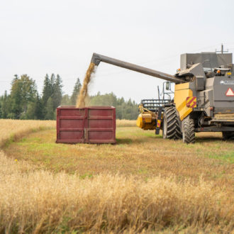 A tractor harvests grain in a farm field, depositing it into a large bin.