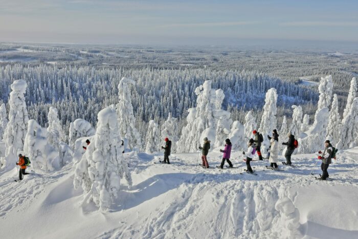 Un groupe d’une dizaine de personnes chaussées de raquettes à neige évolue à flanc de coteau au milieu d’arbres croulant sous la neige.