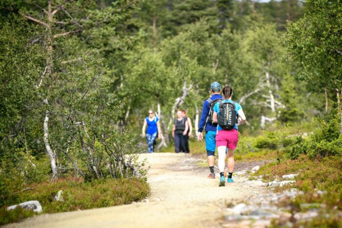 Several hikers in summer garb walk along a trail surrounded by green forest.