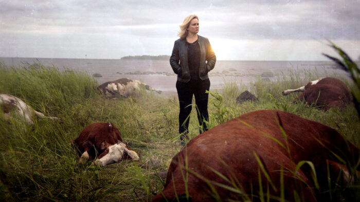一名女性站在一片田野里，几头死牛躺在地上。