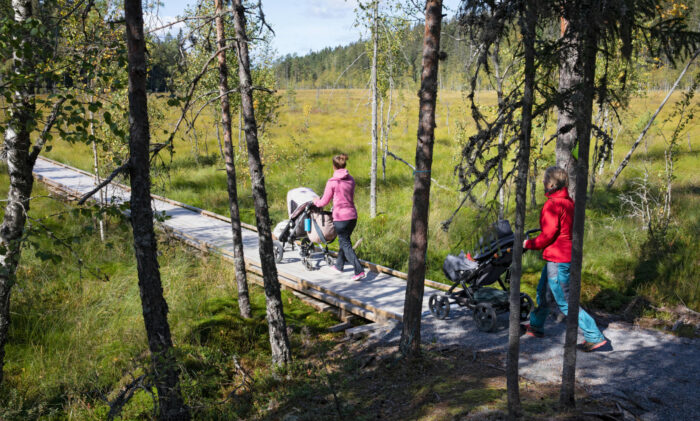 Two parents in brightly coloured jackets push strollers along a boardwalk path across a meadow surrounded by forest.