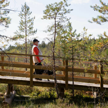 Una persona con bastón blanco y su perro guía recorren una pasarela de madera con barandilla a través de una área natural con árboles y hierbas.